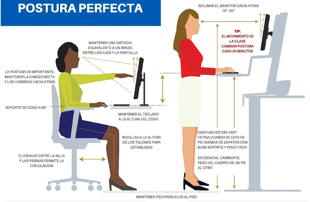 sentado correctamente en tu lugar de trabajo - Colocación correcta