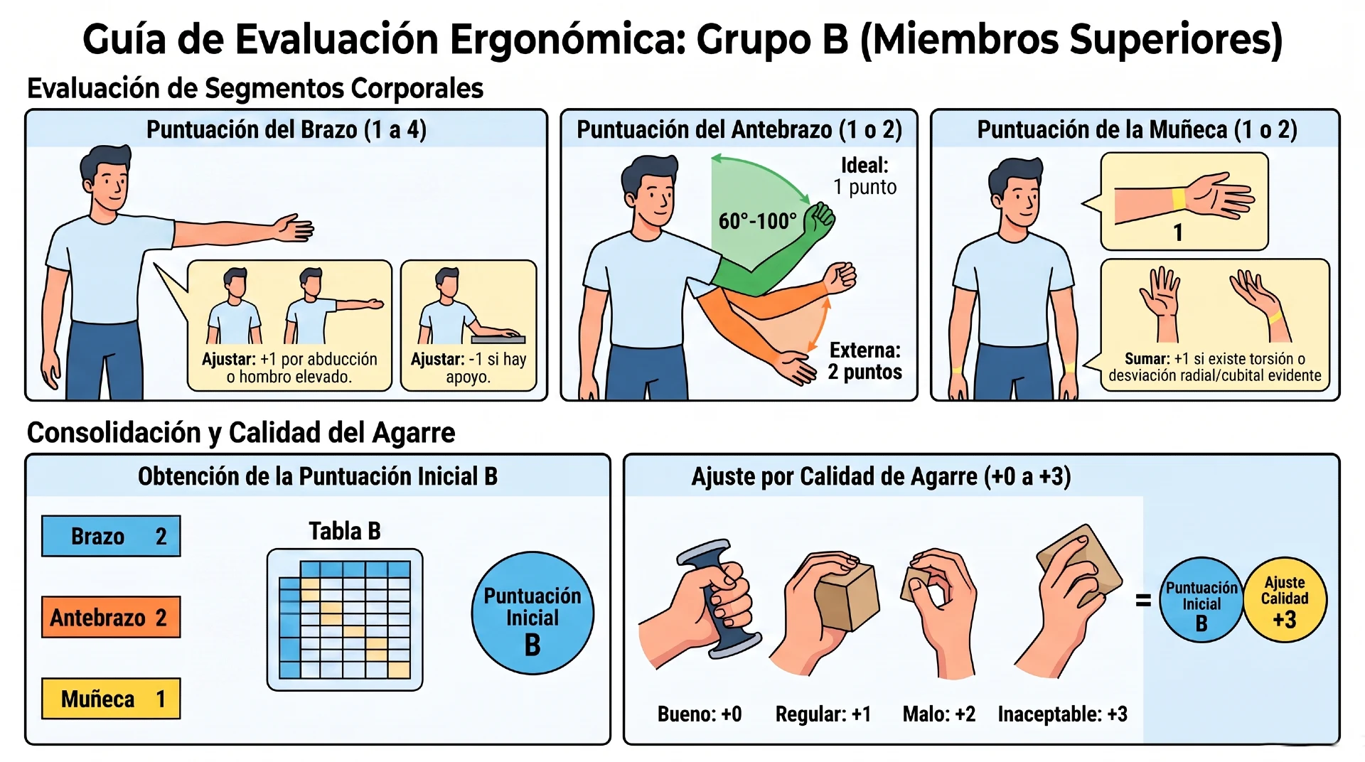 metodo reba - Análisis y codificación del Grupo B