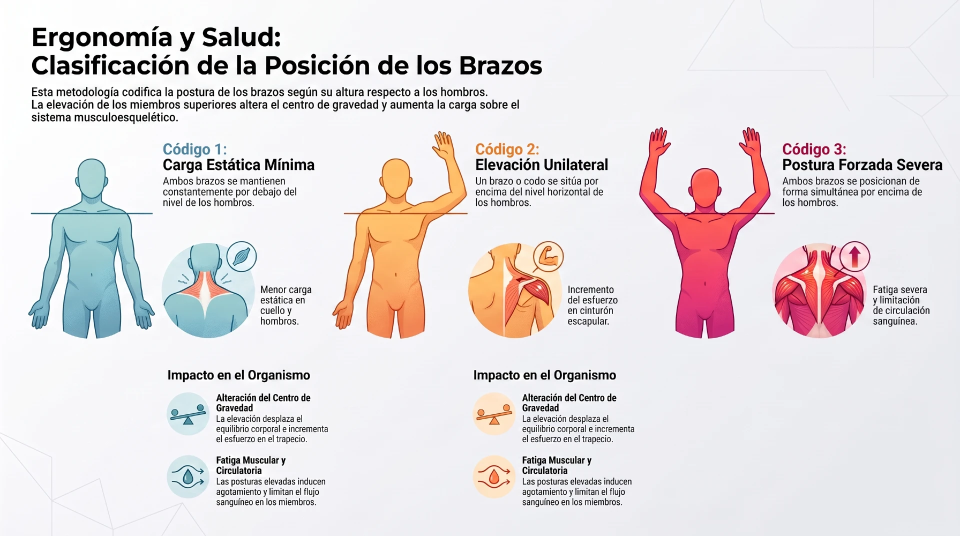 método OWAS Posición de los brazos - Infografías