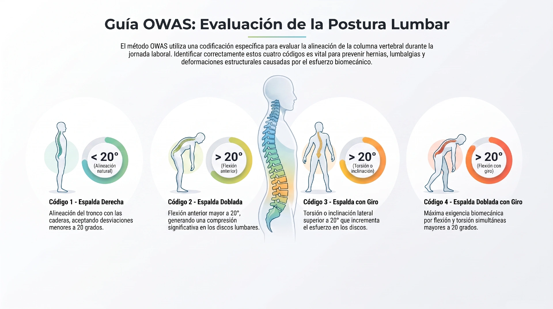 método OWAS Posición de la espalda - Infografías